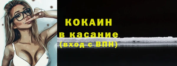 соль ск Абаза