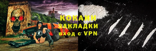 соль ск Абаза