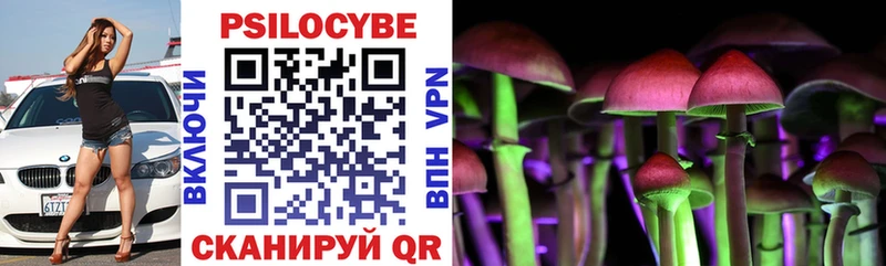 мориарти как зайти  Новосибирск  Псилоцибиновые грибы Cubensis 